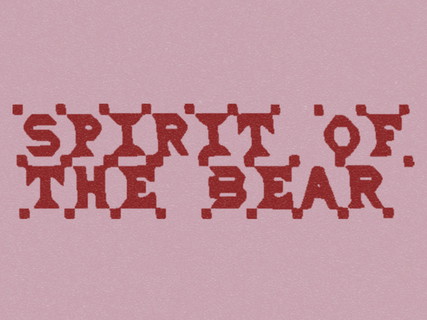 Spirit of the Bear