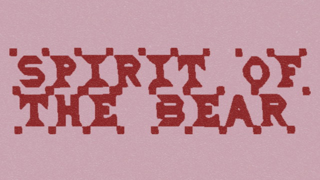 Spirit of the Bear