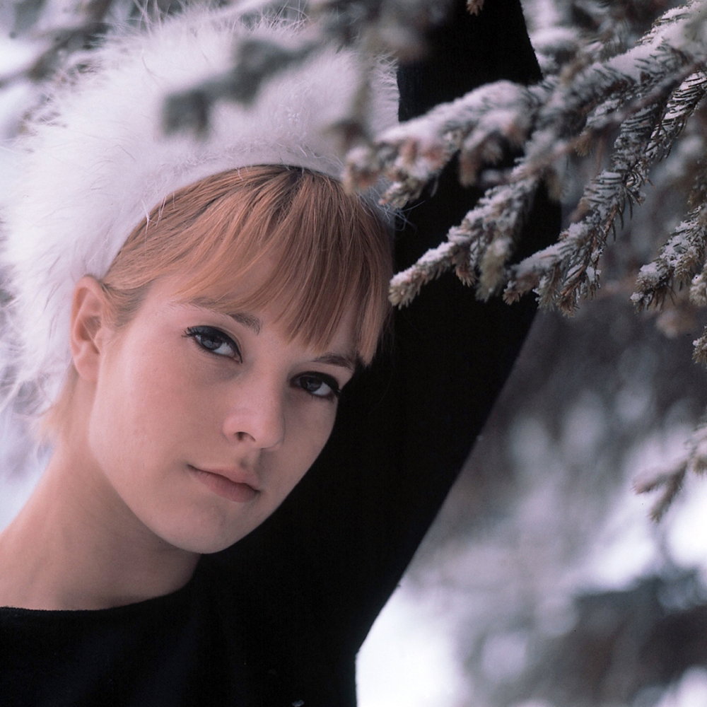 Sylvie Vartan