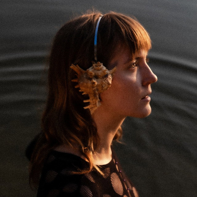 Tara Nome Doyle