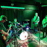 The Bats
