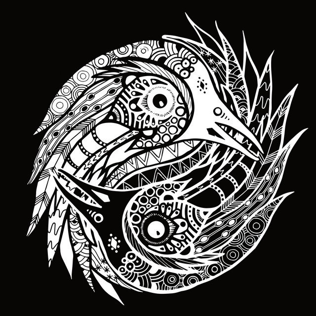 The Black Feathers