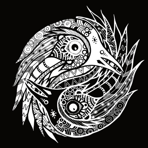 The Black Feathers