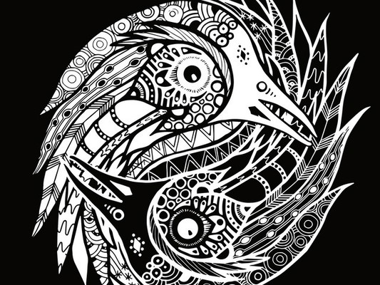 The Black Feathers