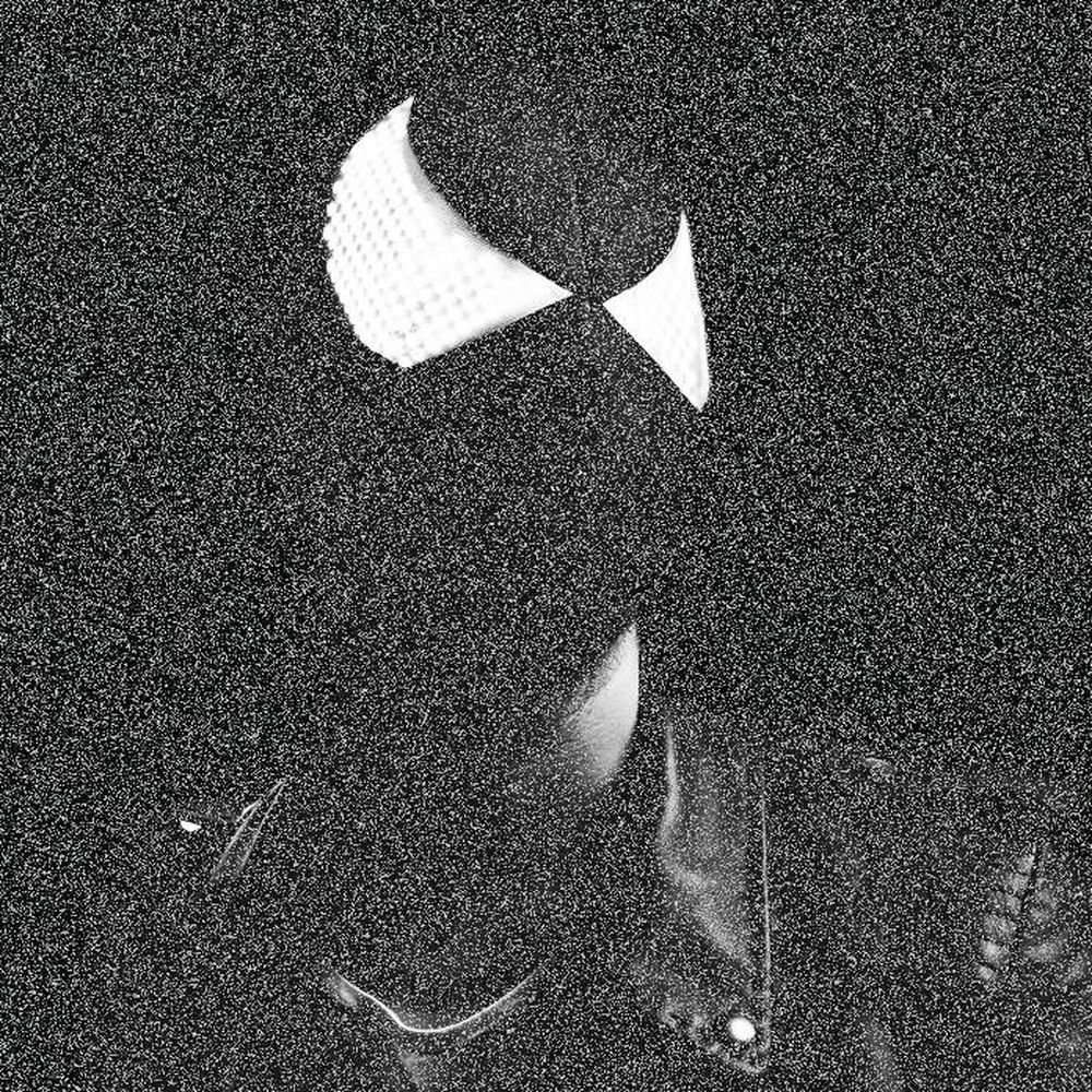 The Bloody Beetroots