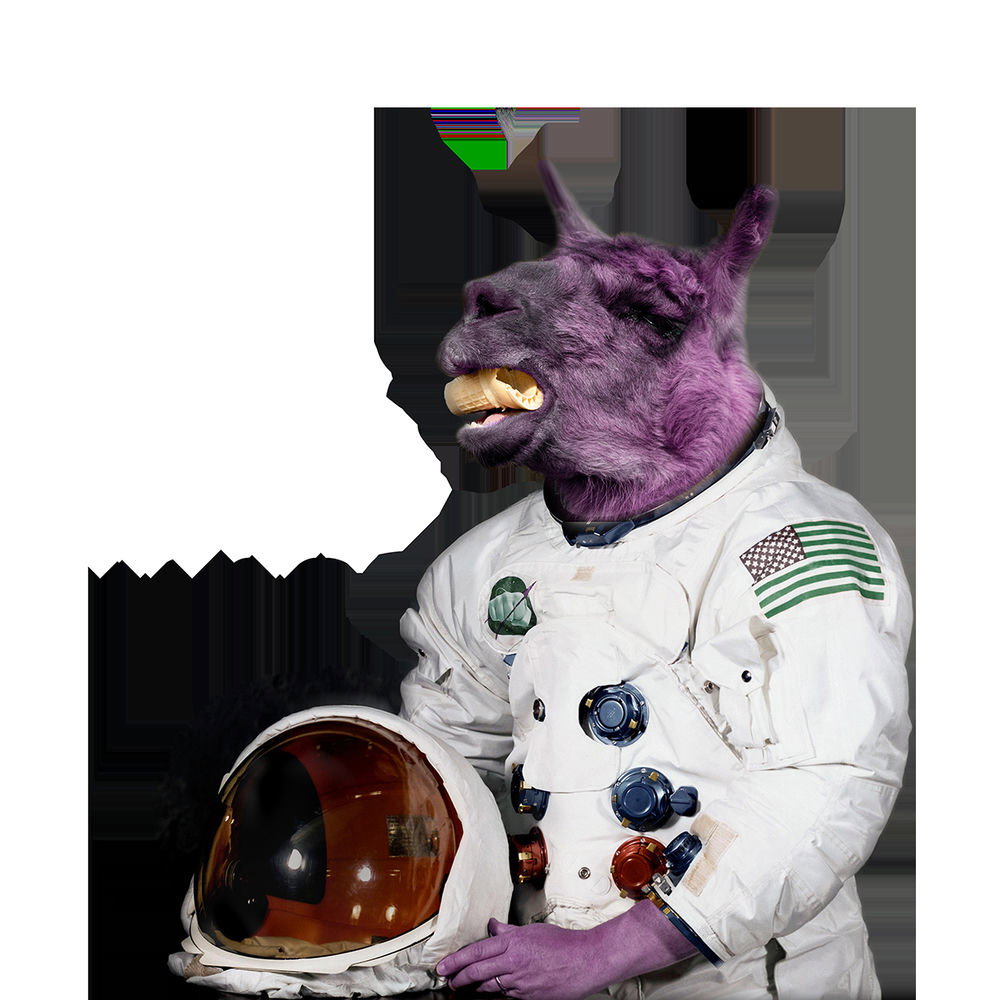 The Funky Knuckles