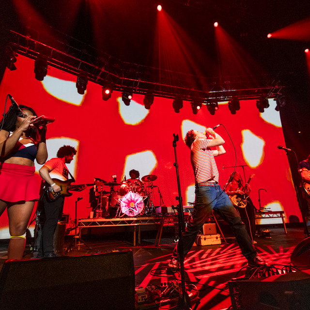 The Go! Team