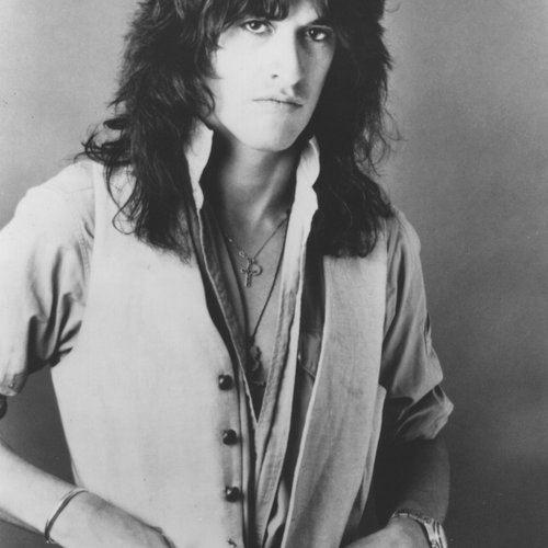 The Joe Perry Project