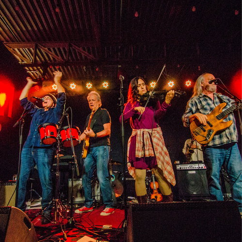 The Ozark Mountain Daredevils