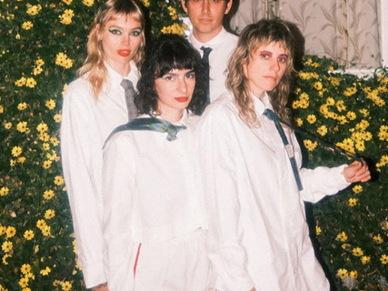 The Paranoyds