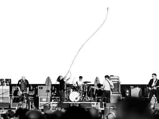 The Pigeon Detectives