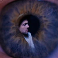 The Veils
