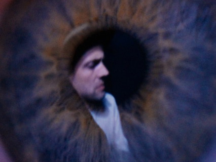 The Veils