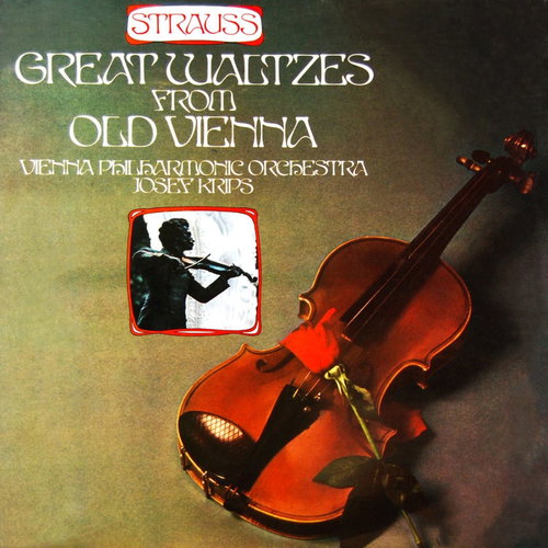 The Vienna Philharmonic Orchestra