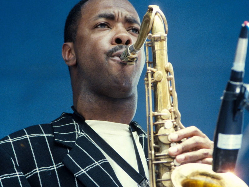 Tim Warfield