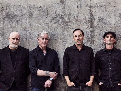 Toadies