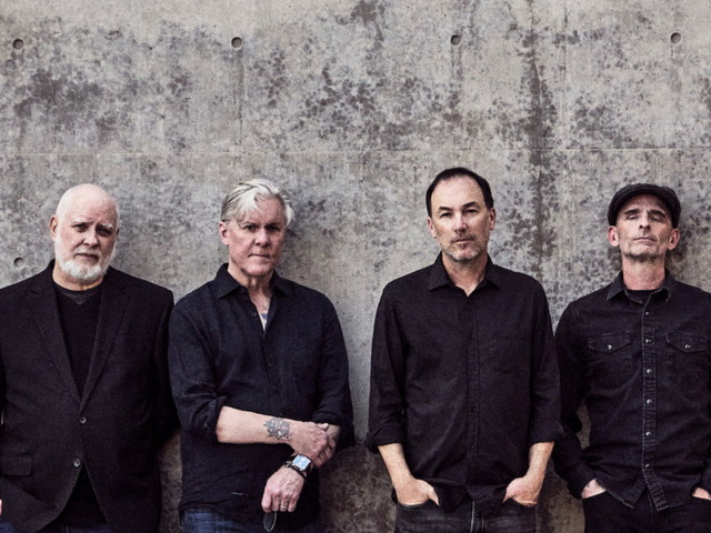 Toadies