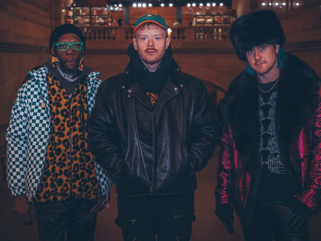 Too Many Zooz