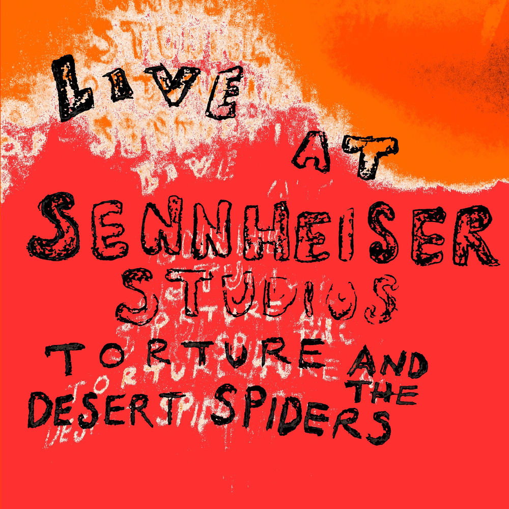 Torture and the Desert Spiders