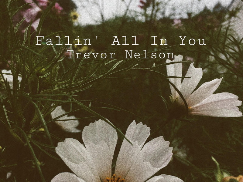 Trevor Nelson