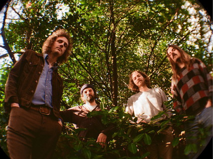 Triptides