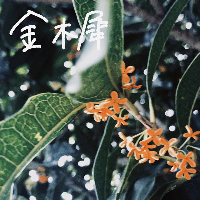 Tsuru