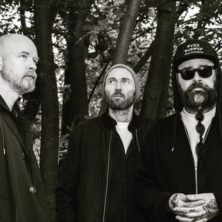 Ulver