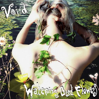 Voiid