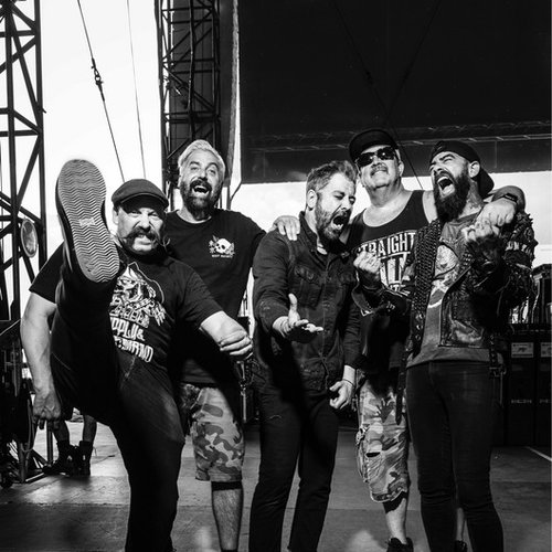 zebrahead
