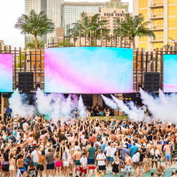Palm Tree Beach Club